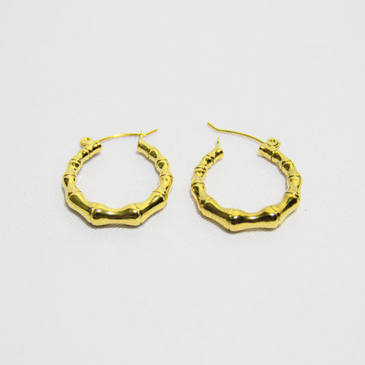 Boucle D'Oreille Anissa