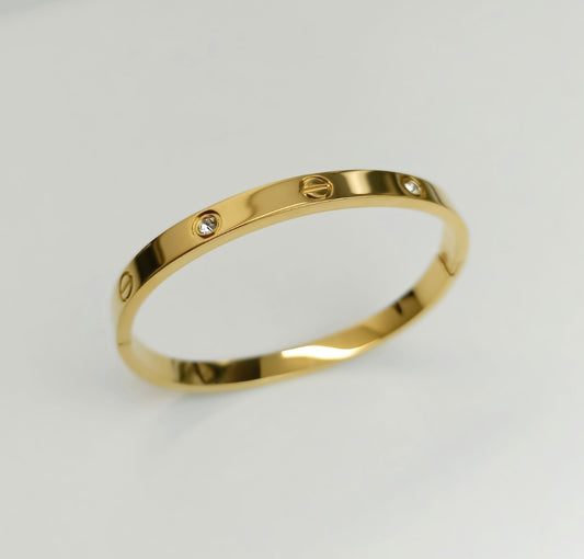 Bracelet Vis Shiny